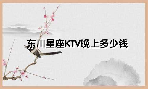 东川星座KTV晚上多少钱