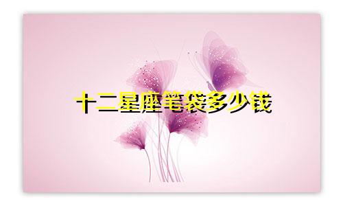 十二星座笔袋多少钱