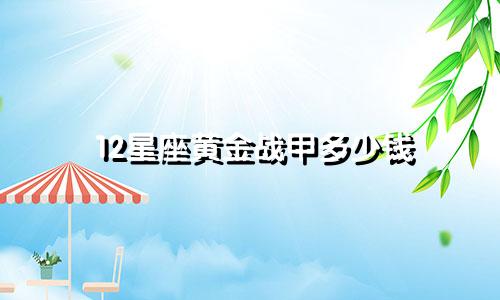 12星座黄金战甲多少钱