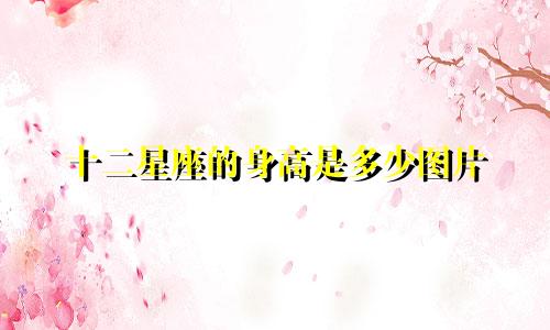 十二星座的身高是多少图片