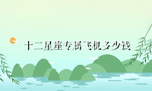 十二星座专属飞机多少钱