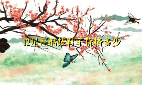 12星座酷炫鞋子价格多少