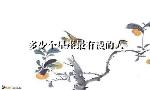 多少个星座最有钱的人