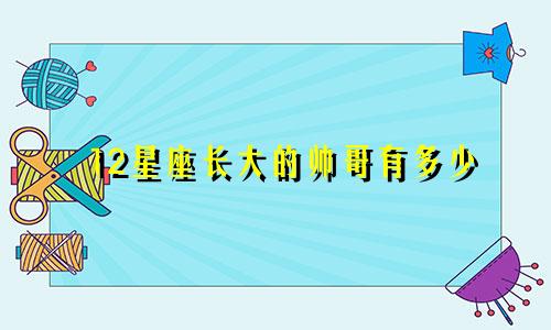 12星座长大的帅哥有多少