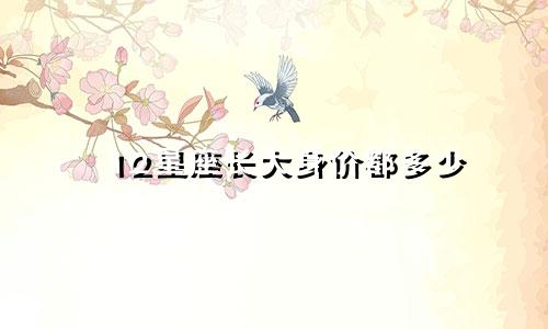12星座长大身价都多少