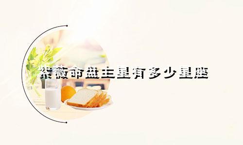 紫薇命盘主星有多少星座
