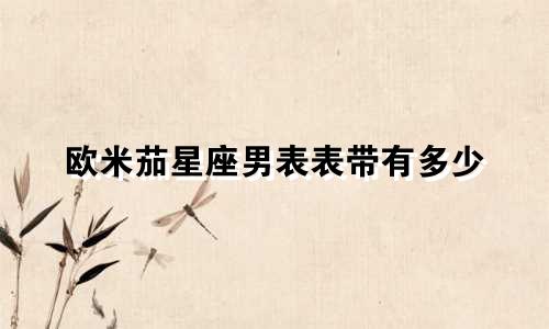 欧米茄星座男表表带有多少