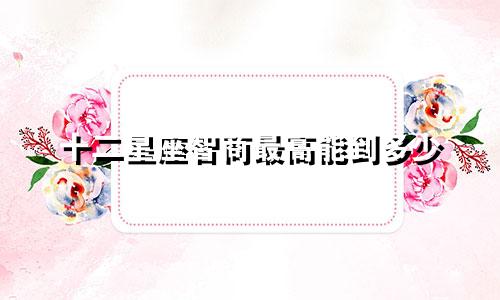 十二星座智商最高能到多少