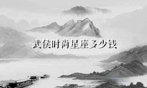 武侯时尚星座多少钱