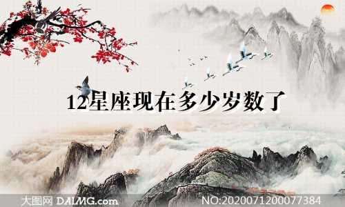12星座现在多少岁数了