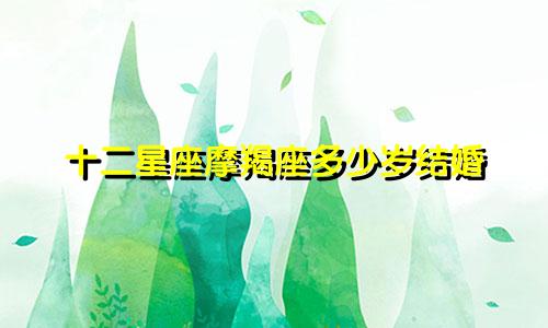 十二星座摩羯座多少岁结婚
