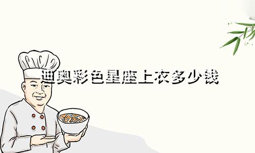 迪奥彩色星座上衣多少钱