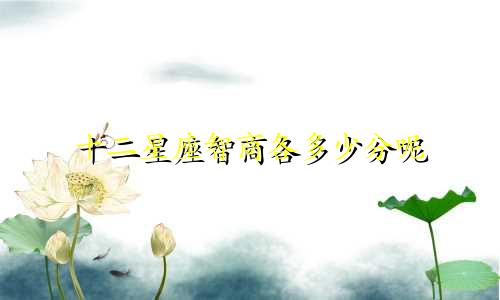 十二星座智商各多少分呢