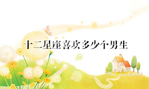 十二星座喜欢多少个男生