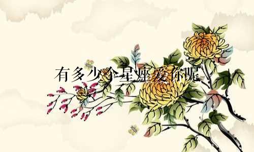 有多少个星座爱你呢