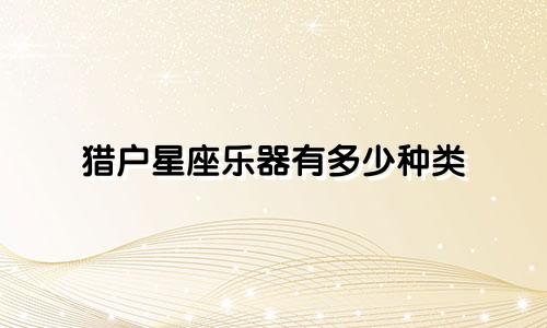 猎户星座乐器有多少种类