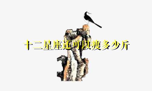 十二星座还可以瘦多少斤
