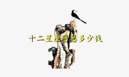 十二星座崽崽多少钱