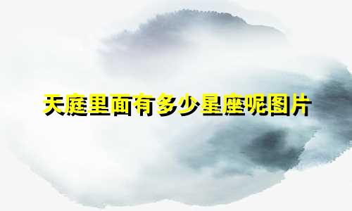 天庭里面有多少星座呢图片