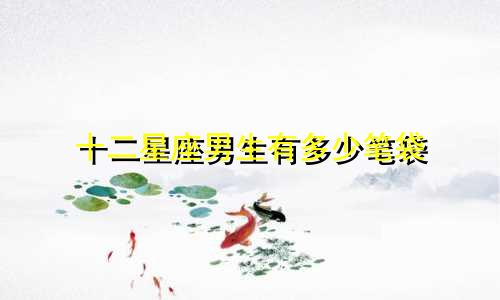 十二星座男生有多少笔袋