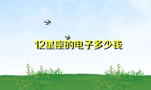 12星座的电子多少钱