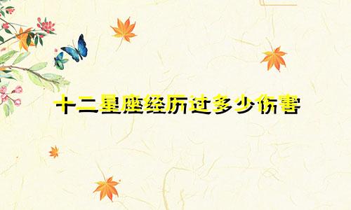 十二星座经历过多少伤害