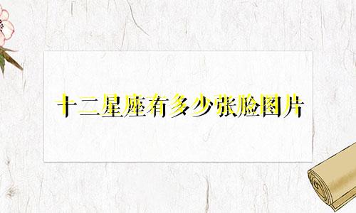 十二星座有多少张脸图片