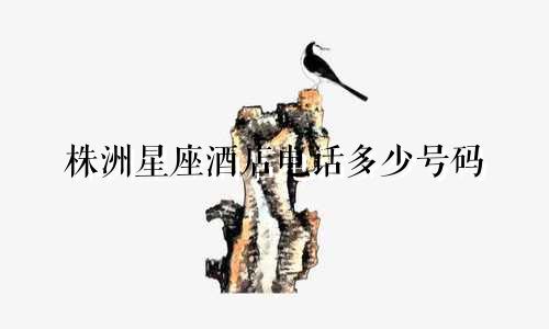 株洲星座酒店电话多少号码
