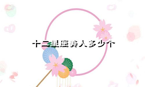 十二星座美人多少个