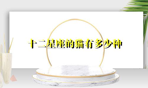 十二星座的猫有多少种