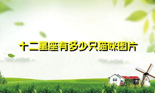 十二星座有多少只猫咪图片