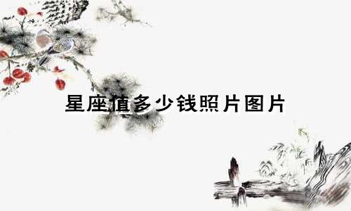 星座值多少钱照片图片