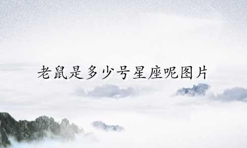 老鼠是多少号星座呢图片