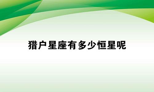 猎户星座有多少恒星呢