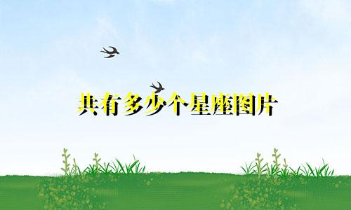 共有多少个星座图片