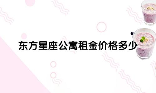 东方星座公寓租金价格多少