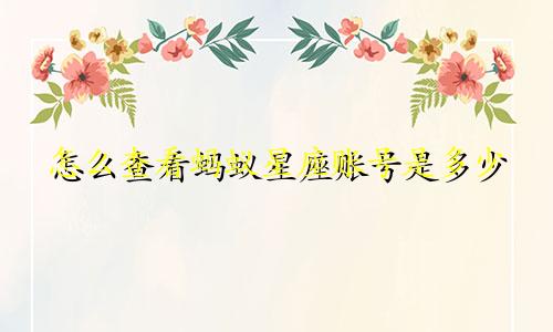 怎么查看蚂蚁星座账号是多少