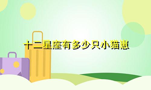 十二星座有多少只小猫崽