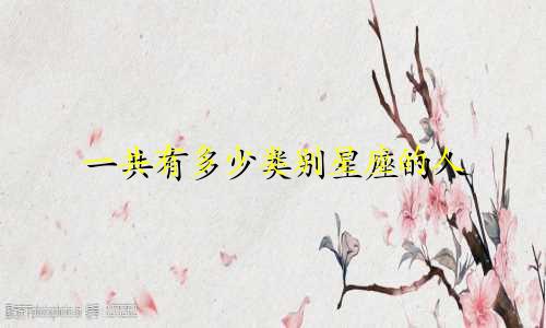 一共有多少类别星座的人