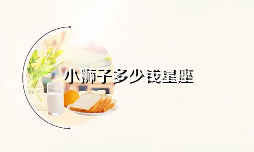 小狮子多少钱星座
