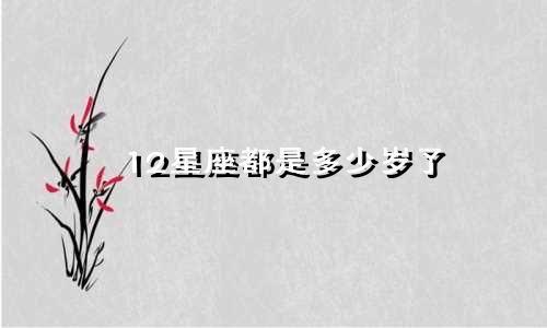 12星座都是多少岁了