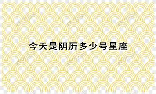 今天是阴历多少号星座
