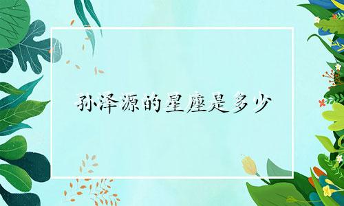 孙泽源的星座是多少