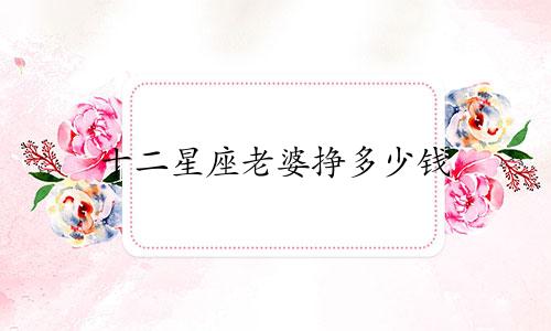 十二星座老婆挣多少钱