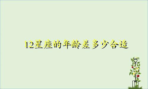12星座的年龄差多少合适