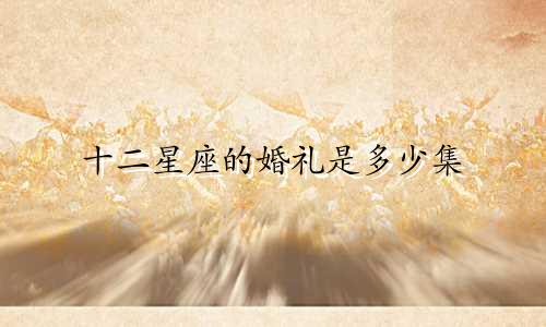 十二星座的婚礼是多少集