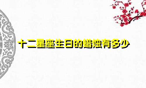 十二星座生日的蜡烛有多少