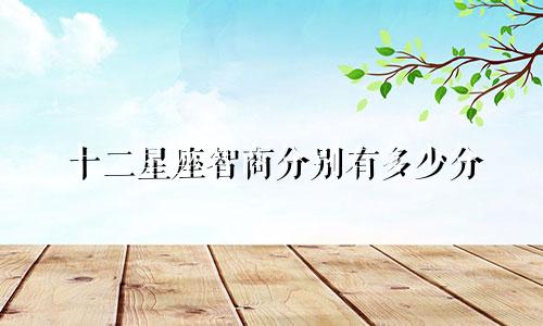 十二星座智商分别有多少分