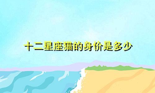 十二星座猫的身价是多少