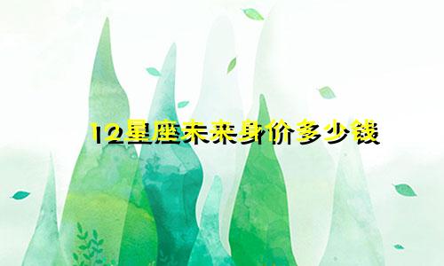 12星座未来身价多少钱